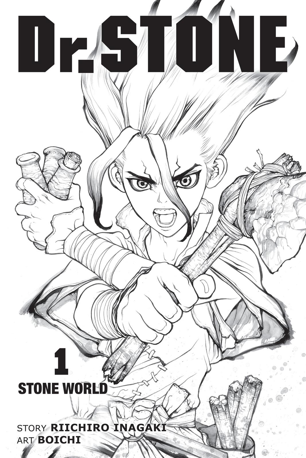 Dr. STONE Chapter 1 - Page 4