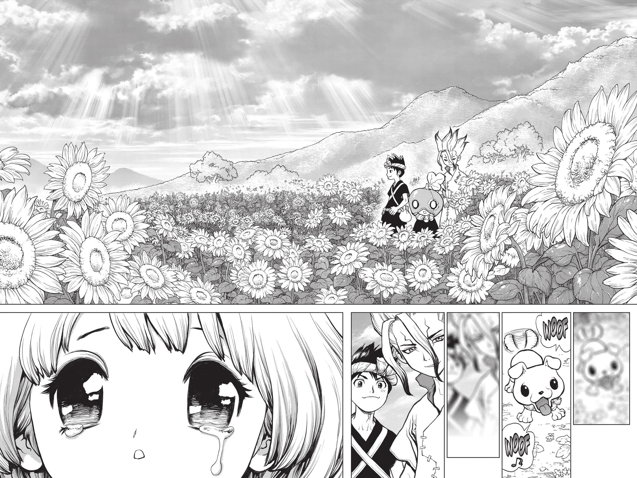 Dr. STONE Chapter 28 - Page 14