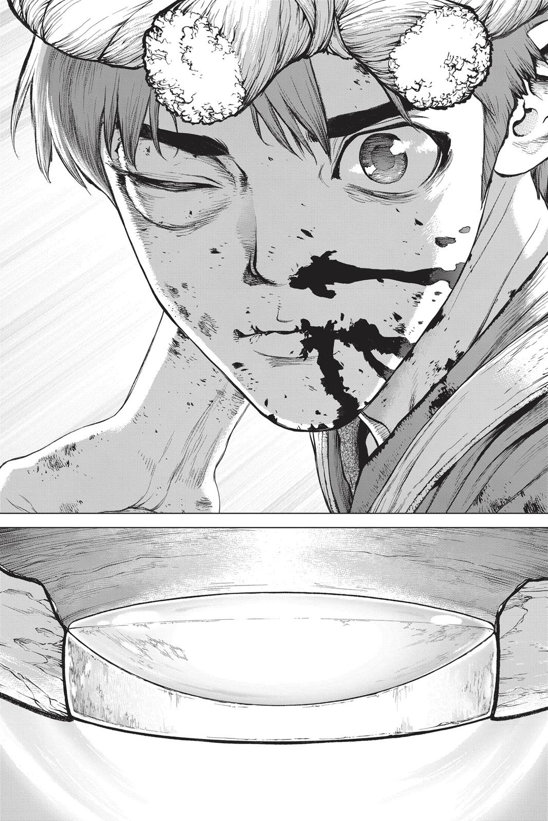 Dr. STONE Chapter 38 - Page 14