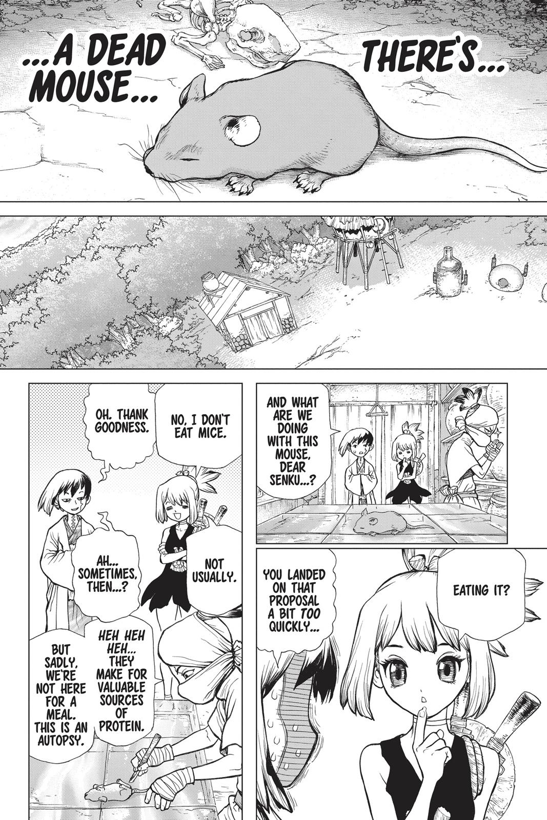 Dr. STONE Chapter 41 - Page 4