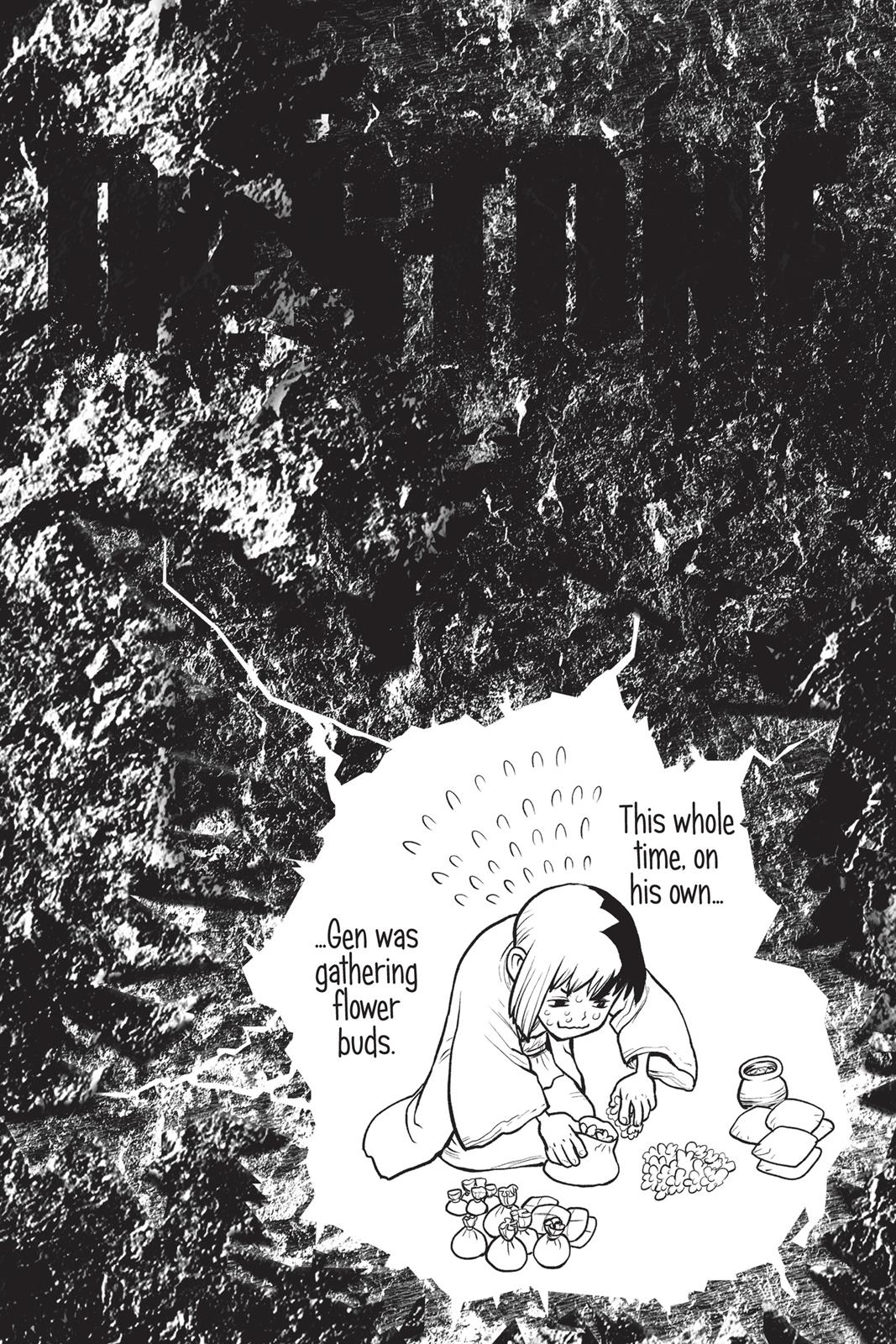 Dr. STONE Chapter 48 - Page 19