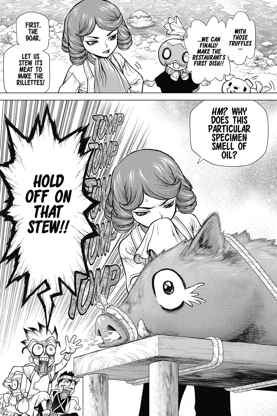 Dr. STONE Chapter 94 - Page 17