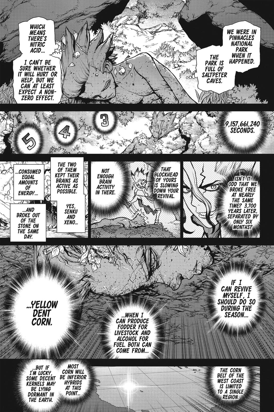 Dr. STONE Chapter 157 - Page 14