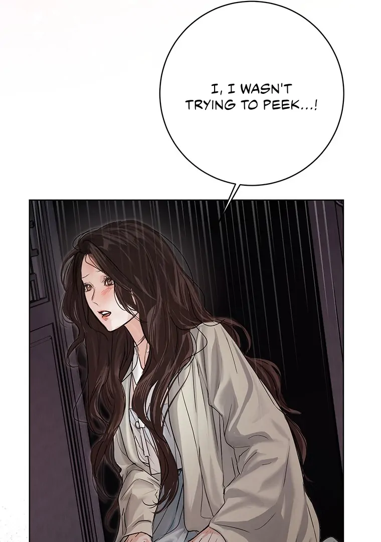 Dreamlike Illusion Chapter 18 - Page 25