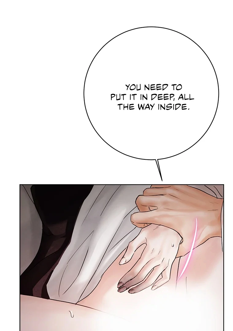 Dreamlike Illusion Chapter 21 - Page 9