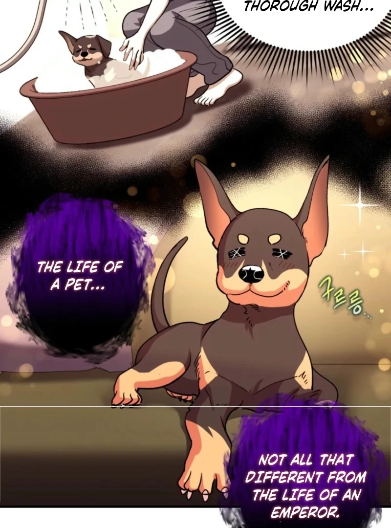 Even the Almighty Is a First-Time Dad - Chapter 21 - 81