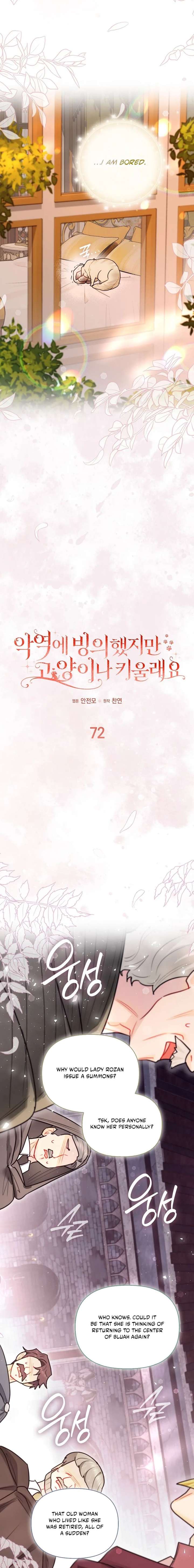 Even Though I Transmigrated as a Villainess, I’d Rather Raise a Cat Chapter 72 - Page 4