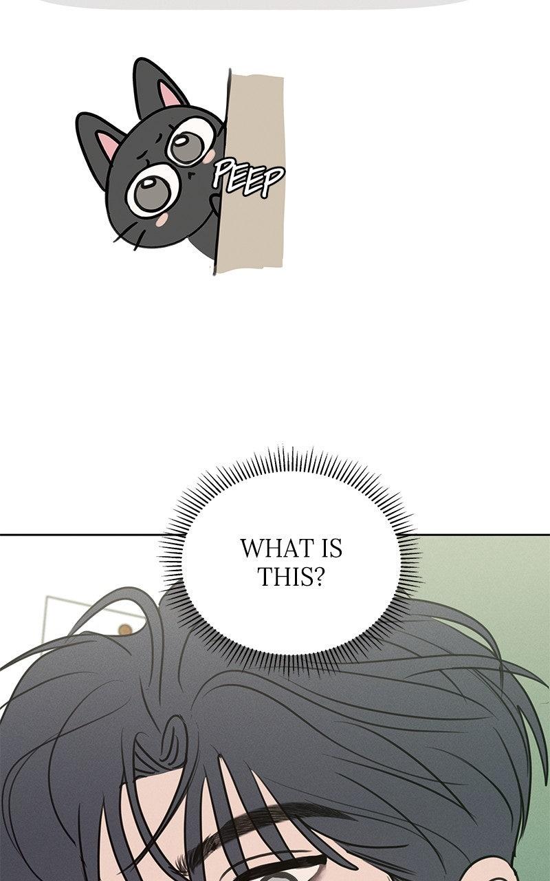 Falling For It Chapter 17 - Page 77