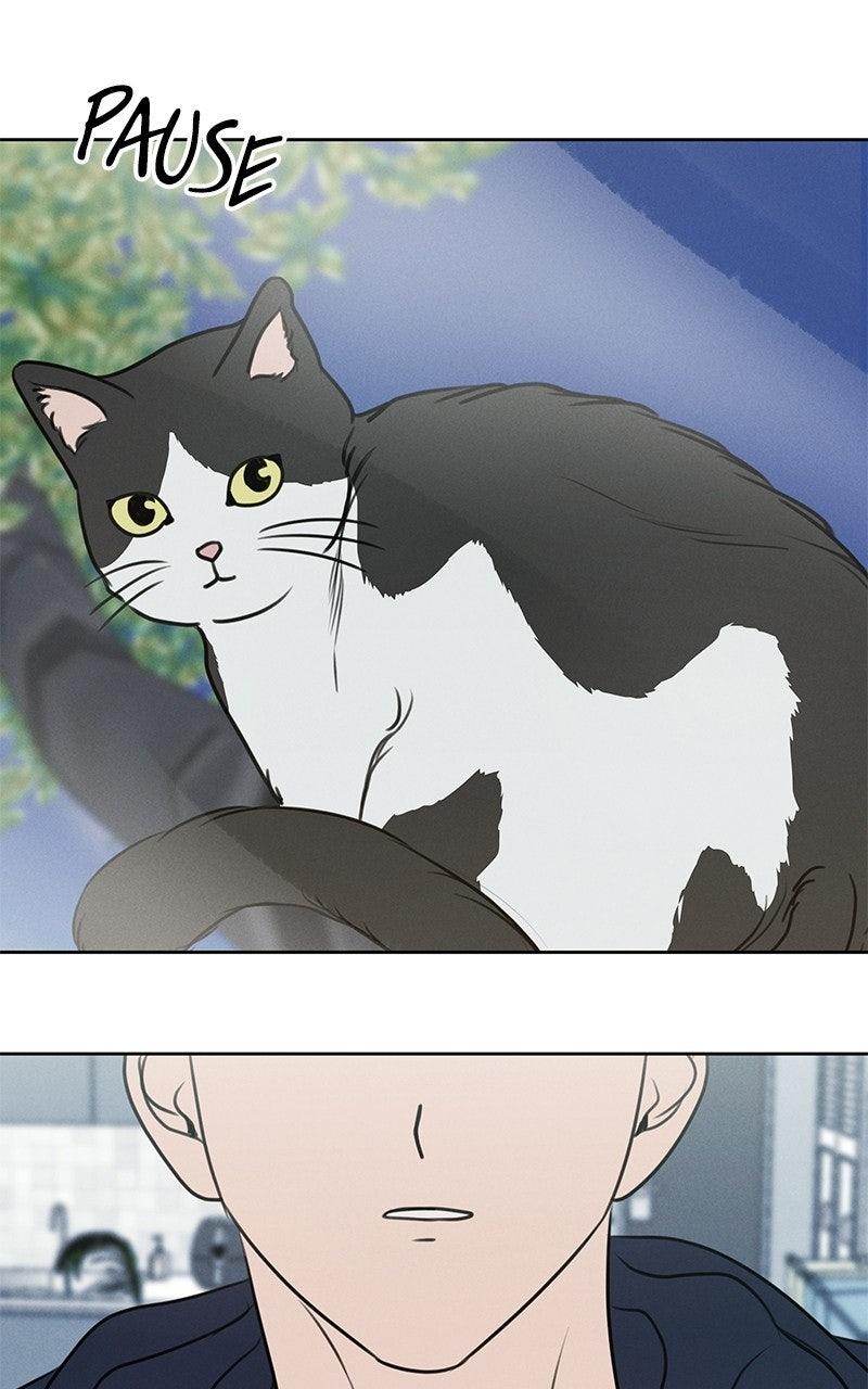 Falling For It Chapter 20 - Page 106