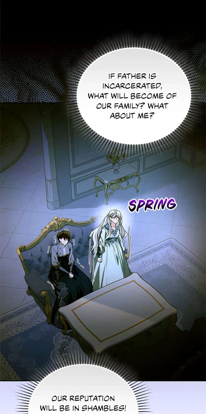 Fell Into the Arms of a Mad Villain Chapter 74 - Page 28