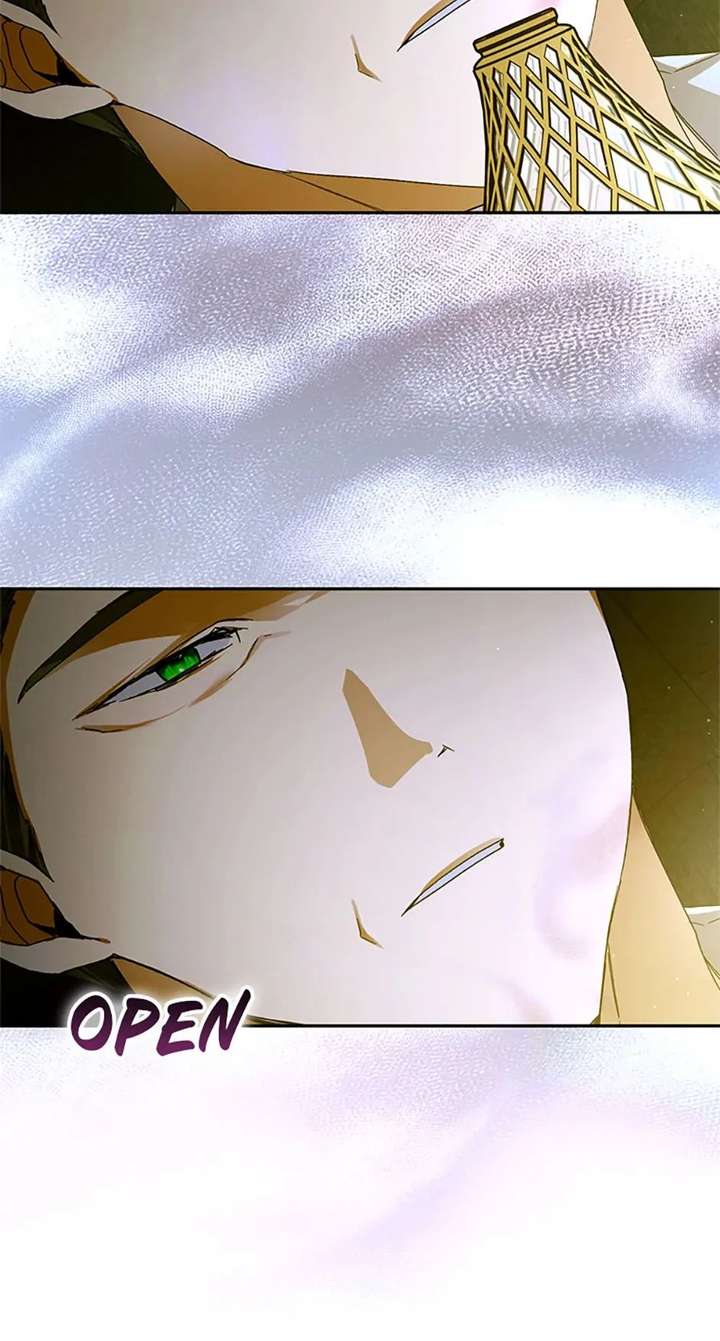 Fell Into the Arms of a Mad Villain Chapter 77 - Page 48