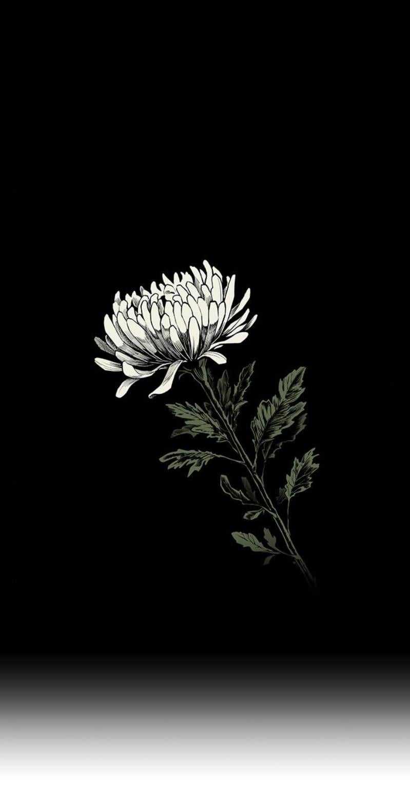 Fight class 3 Chapter 111 - Page 432