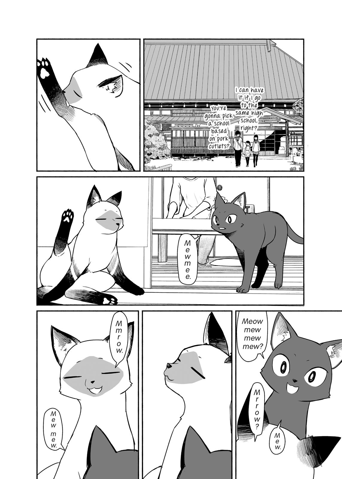 Flying Witch Chapter 33 - Page 6