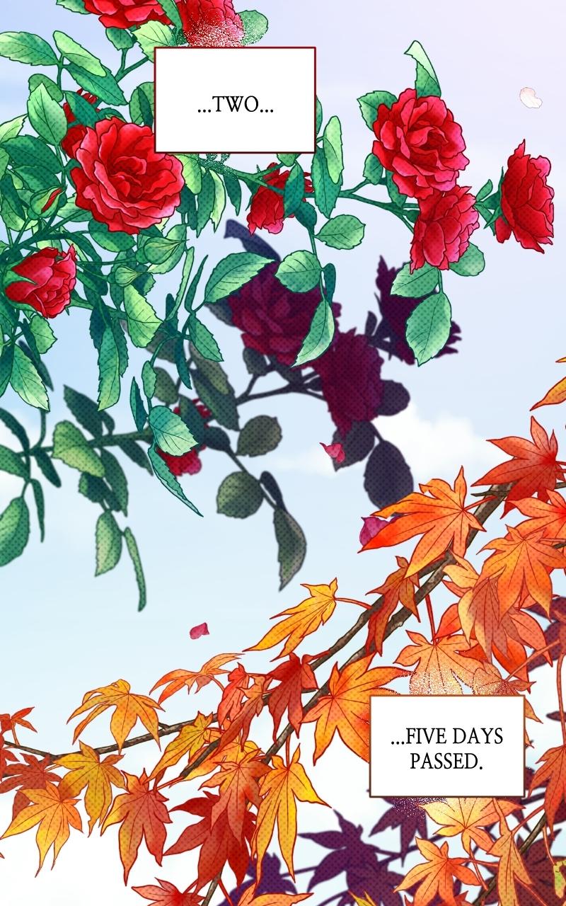 For My Derelict Favorite Chapter 2 - Page 11