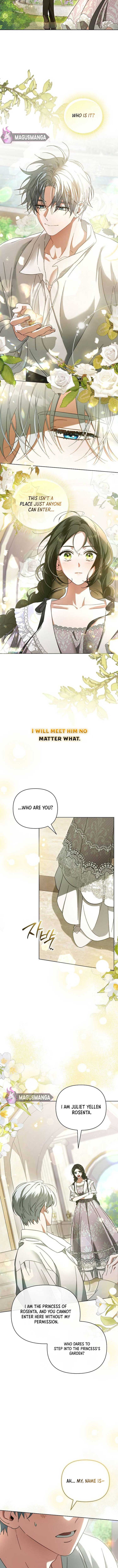 For the Beautiful Juliet Chapter 1 - Page 13