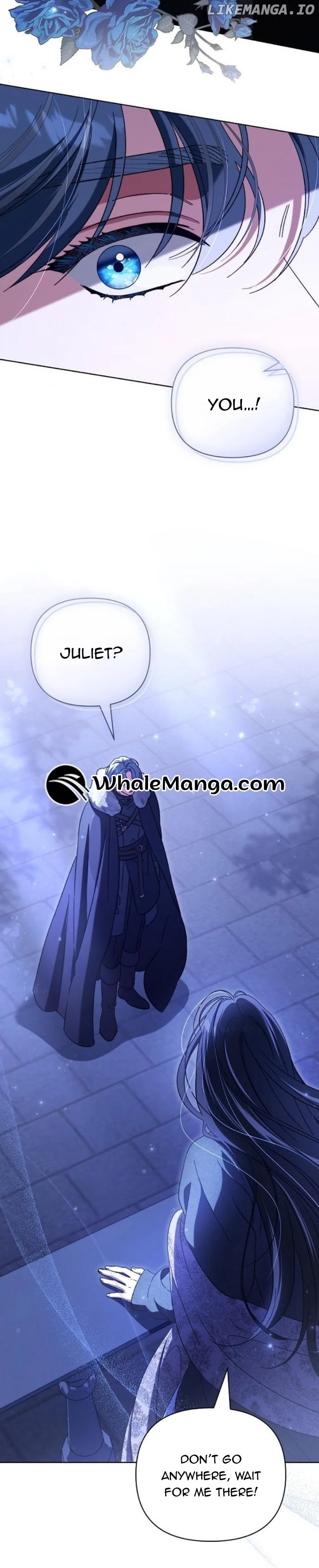 For the Beautiful Juliet Chapter 11 - Page 29