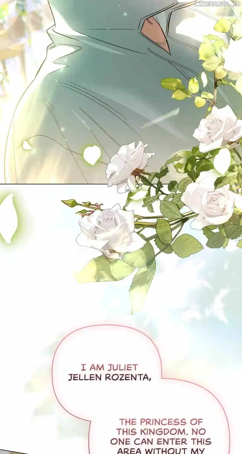 For the Beautiful Juliet Chapter 31 - Page 33