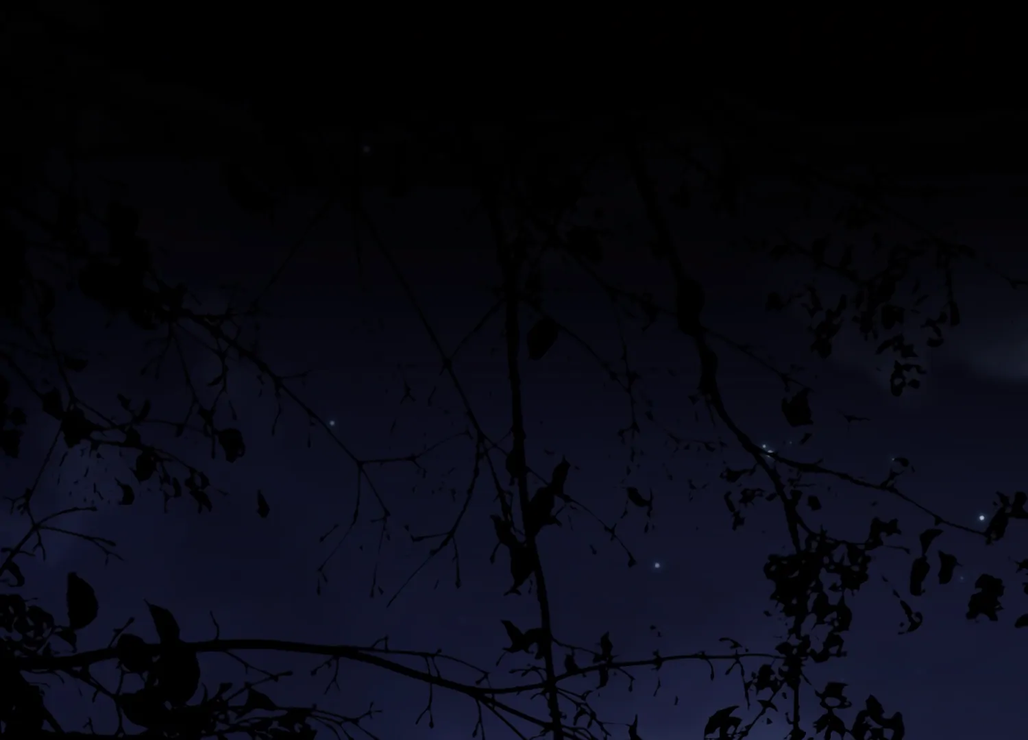 Forbidden Odd Melody Chapter 24 - Page 88