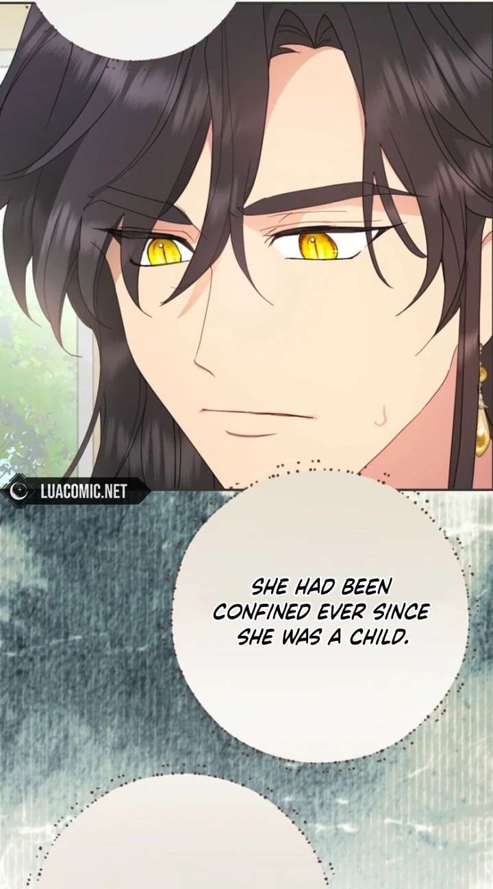 Forget My Husband, I’ll Go Make Money Chapter 113 - Page 51