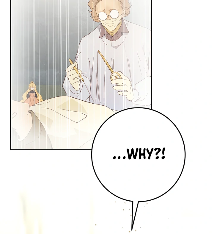 From Six to Sovereignty: The Girl Who Ruled Chapter 42 - Page 5