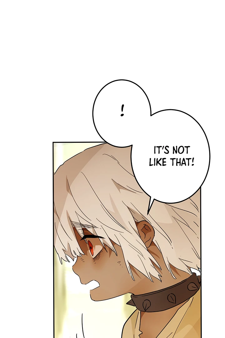 From Six to Sovereignty: The Girl Who Ruled Chapter 42 - Page 19