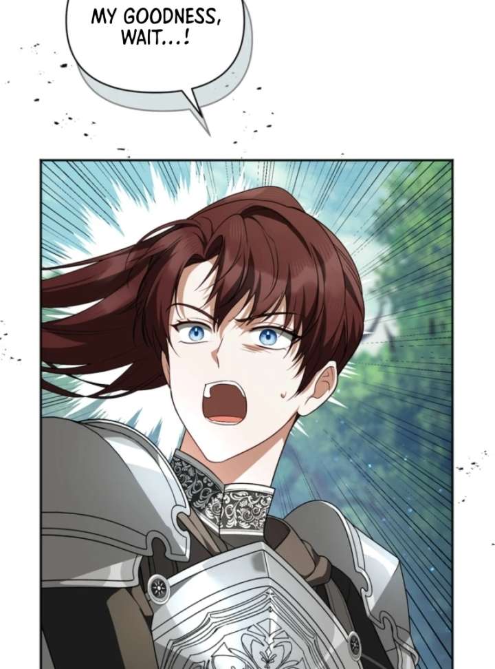 Golden Chevalier Chapter 15 - Page 17