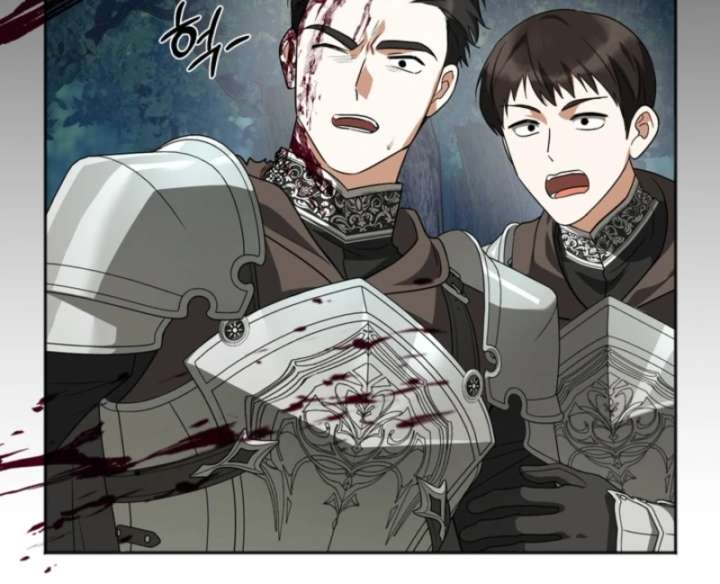 Golden Chevalier Chapter 15 - Page 28