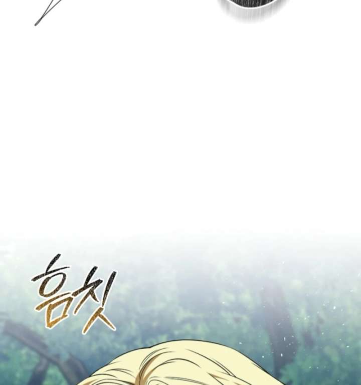 Golden Chevalier Chapter 15 - Page 54