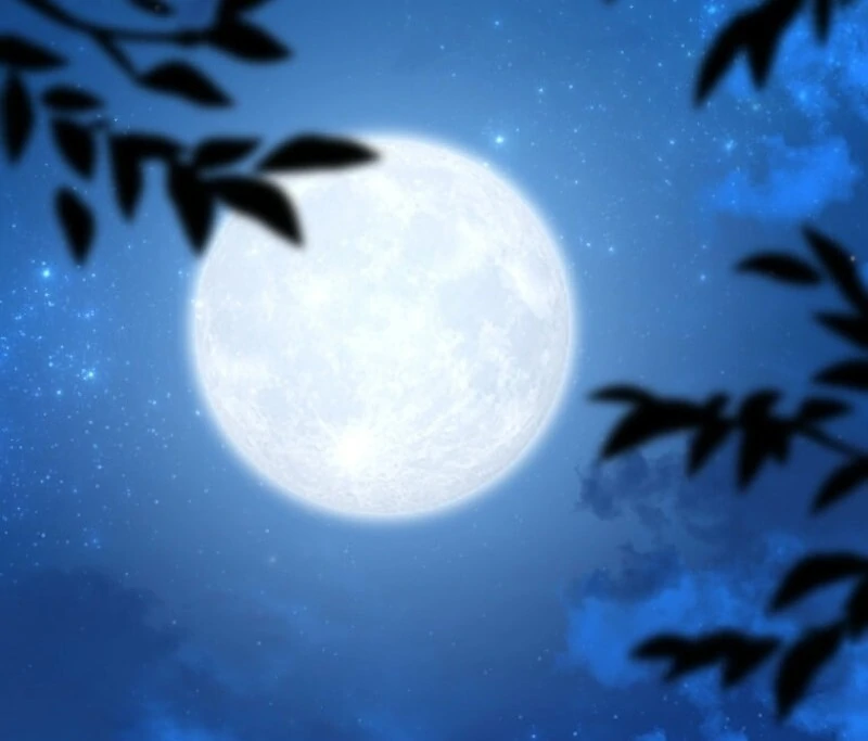 Grand Duke of the North - Chapter 65 - 68