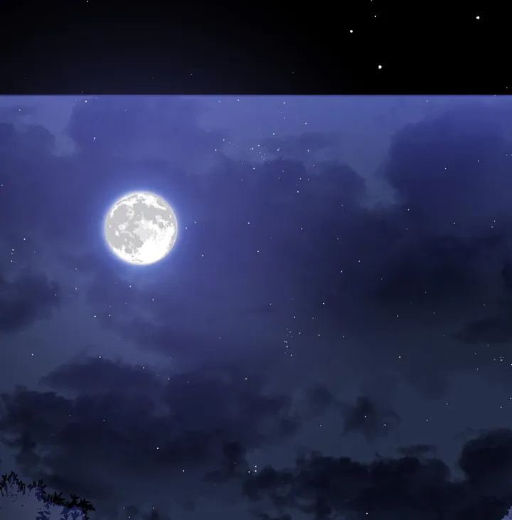 Haechi’s Princess Chapter 1 - Page 29