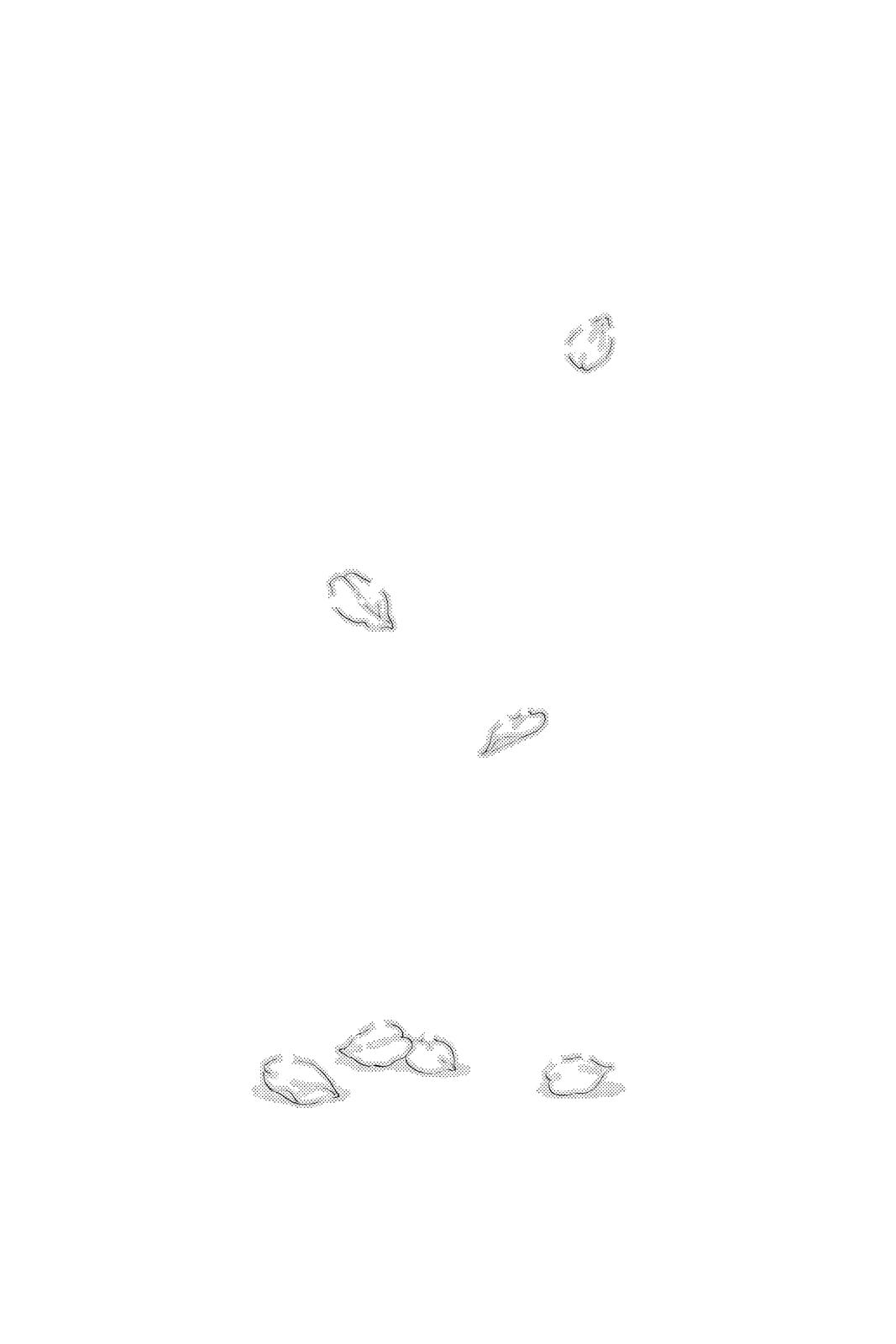 Hayate the Combat Butler Chapter 116 - Page 16