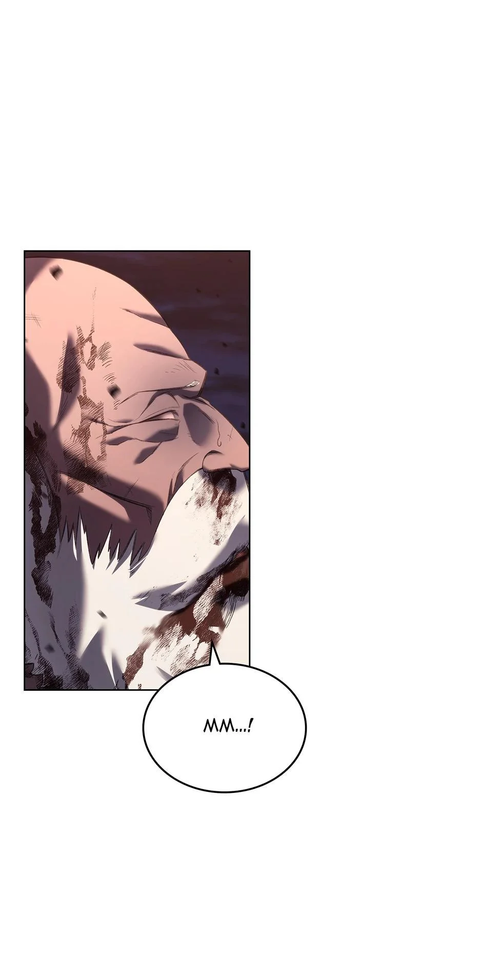 Heavenly Demon Reborn Chapter 249 - Page 12