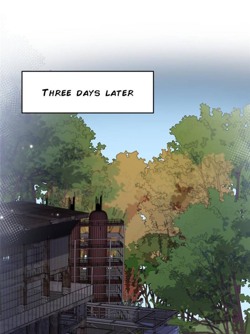 Hey Boss, I Am Your New Wife - Chapter 206 - 13