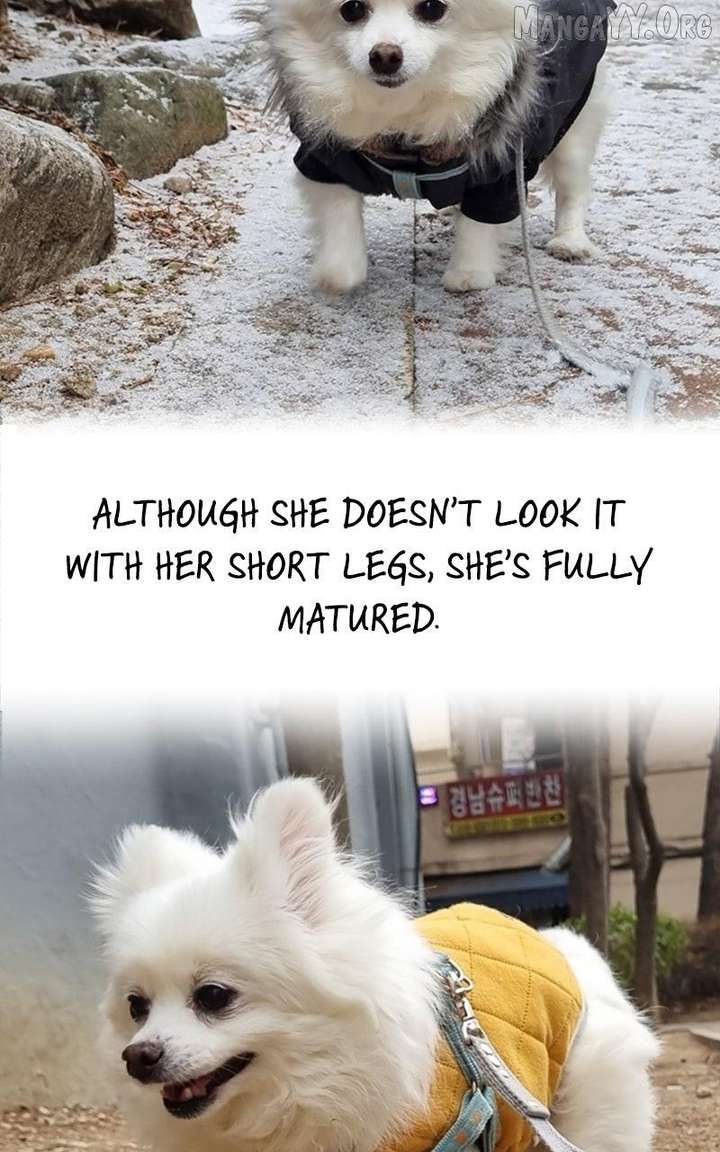 How to Hold X’s Leash Chapter 77.5 - Page 15