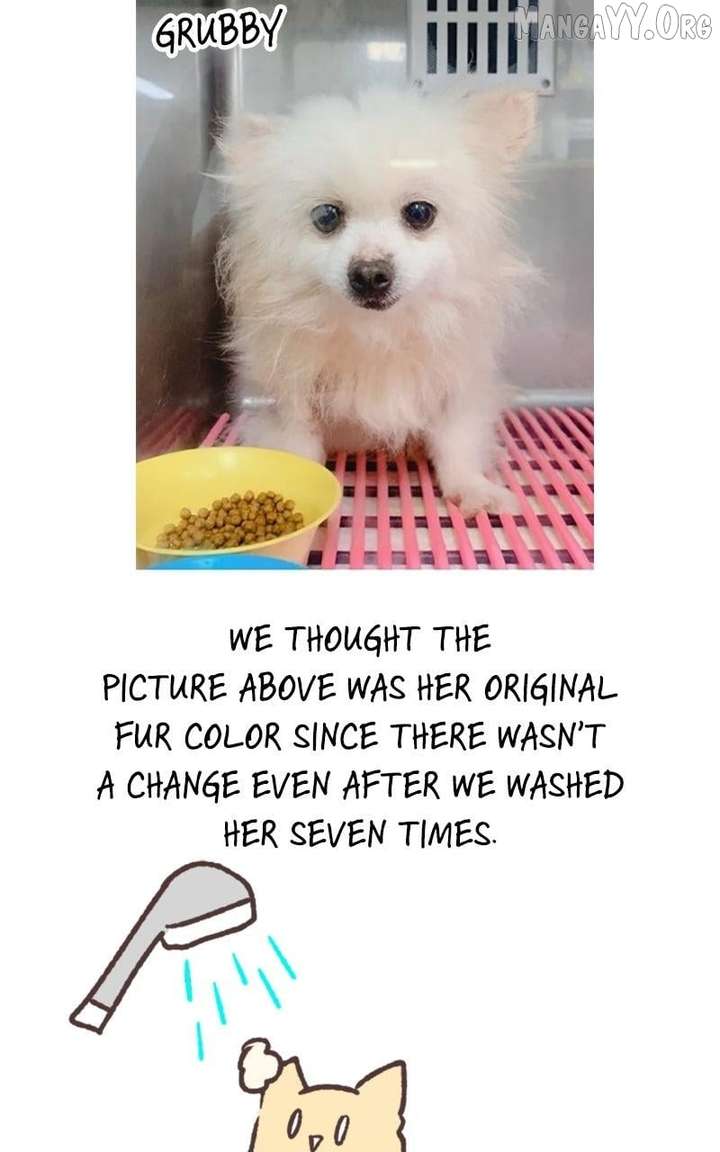 How to Hold X’s Leash Chapter 77.5 - Page 17