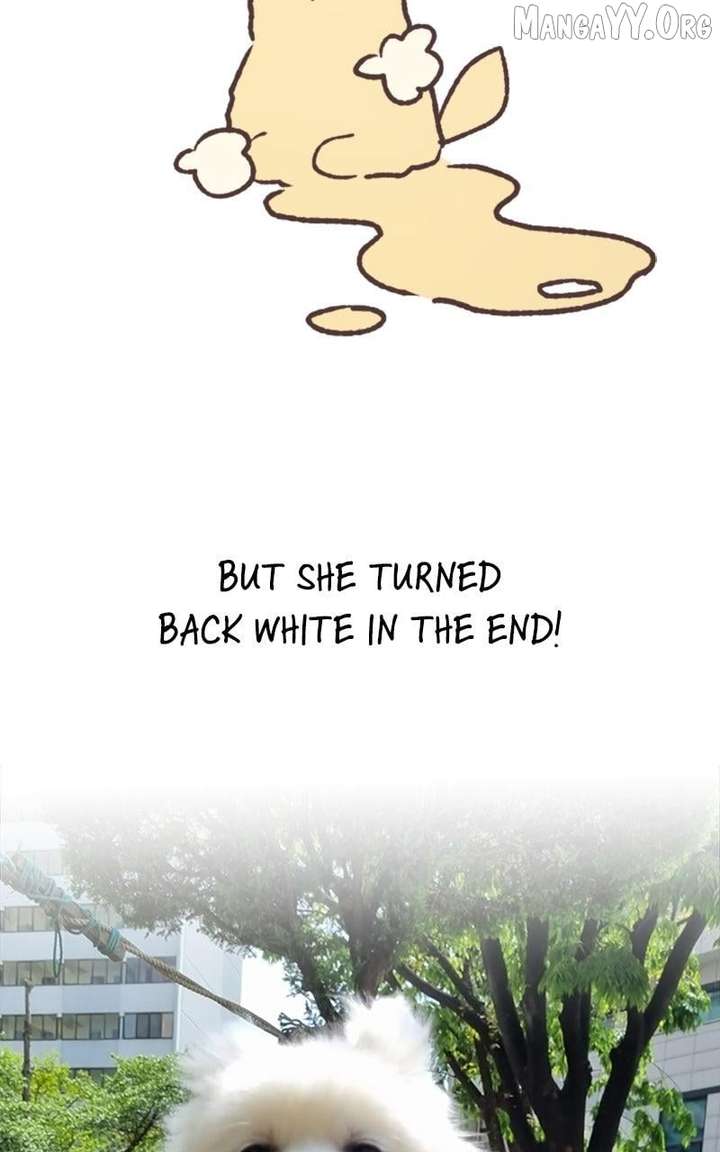 How to Hold X’s Leash Chapter 77.5 - Page 18