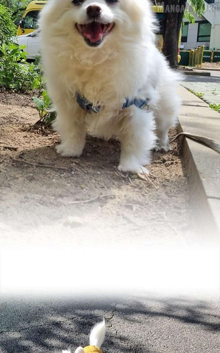 How to Hold X’s Leash Chapter 77.5 - Page 19