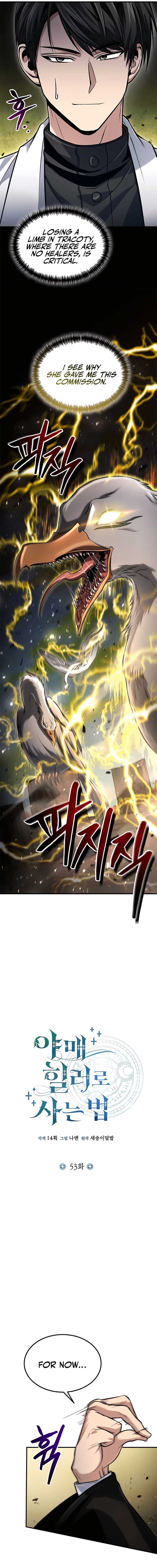 How to Live as an Illegal Healer Chapter 53 - Page 4