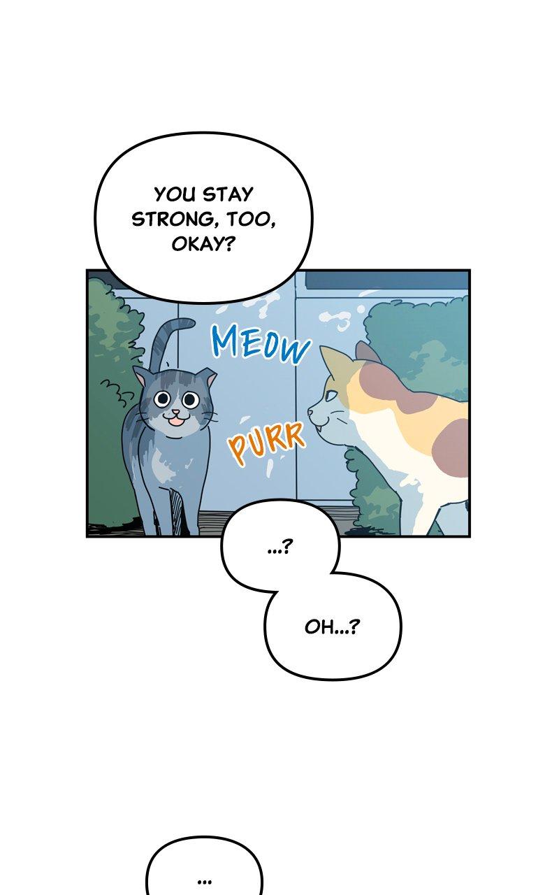 Humanoido Chapter 1 - Page 36