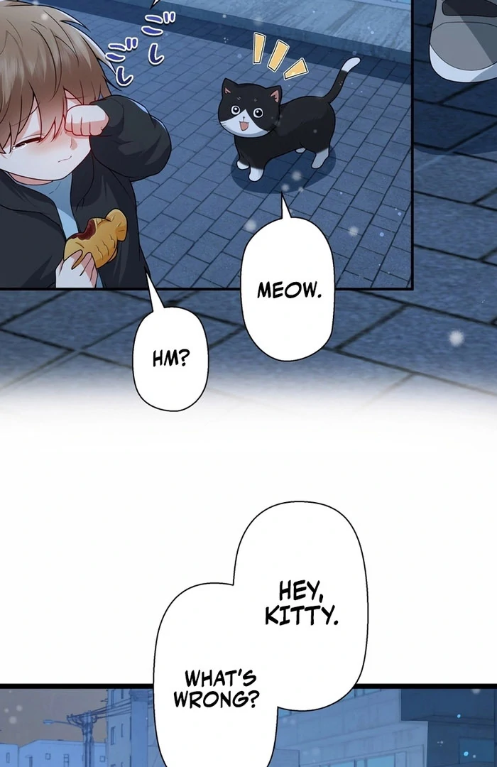 I Became a Divorce Lawyer for My First Love Chapter 38 - Page 49