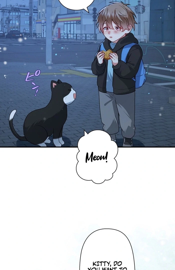 I Became a Divorce Lawyer for My First Love Chapter 38 - Page 50