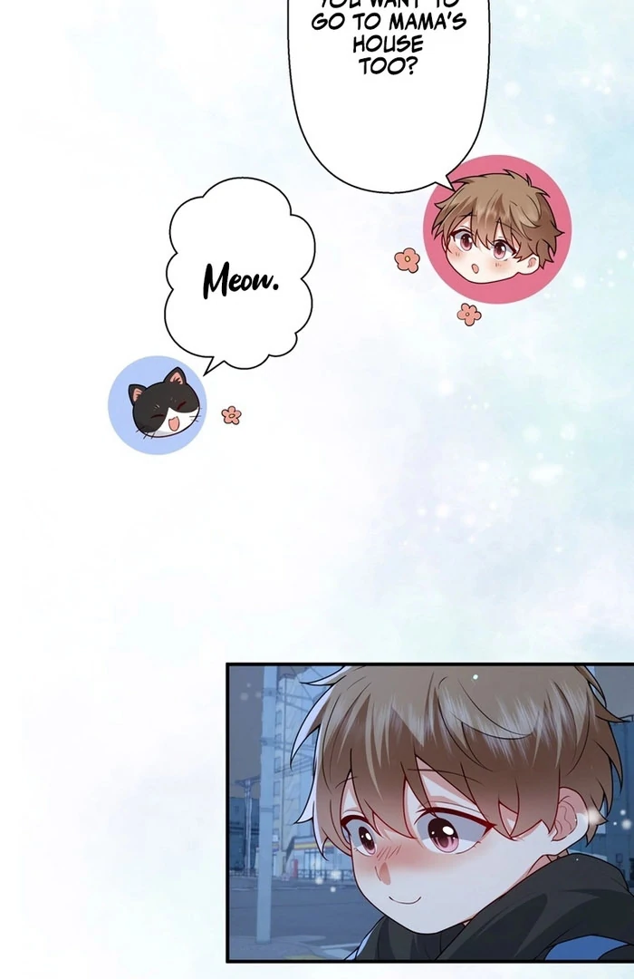 I Became a Divorce Lawyer for My First Love Chapter 38 - Page 51