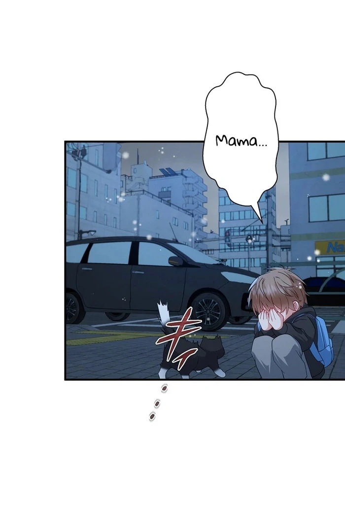 I Became a Divorce Lawyer for My First Love Chapter 38 - Page 66