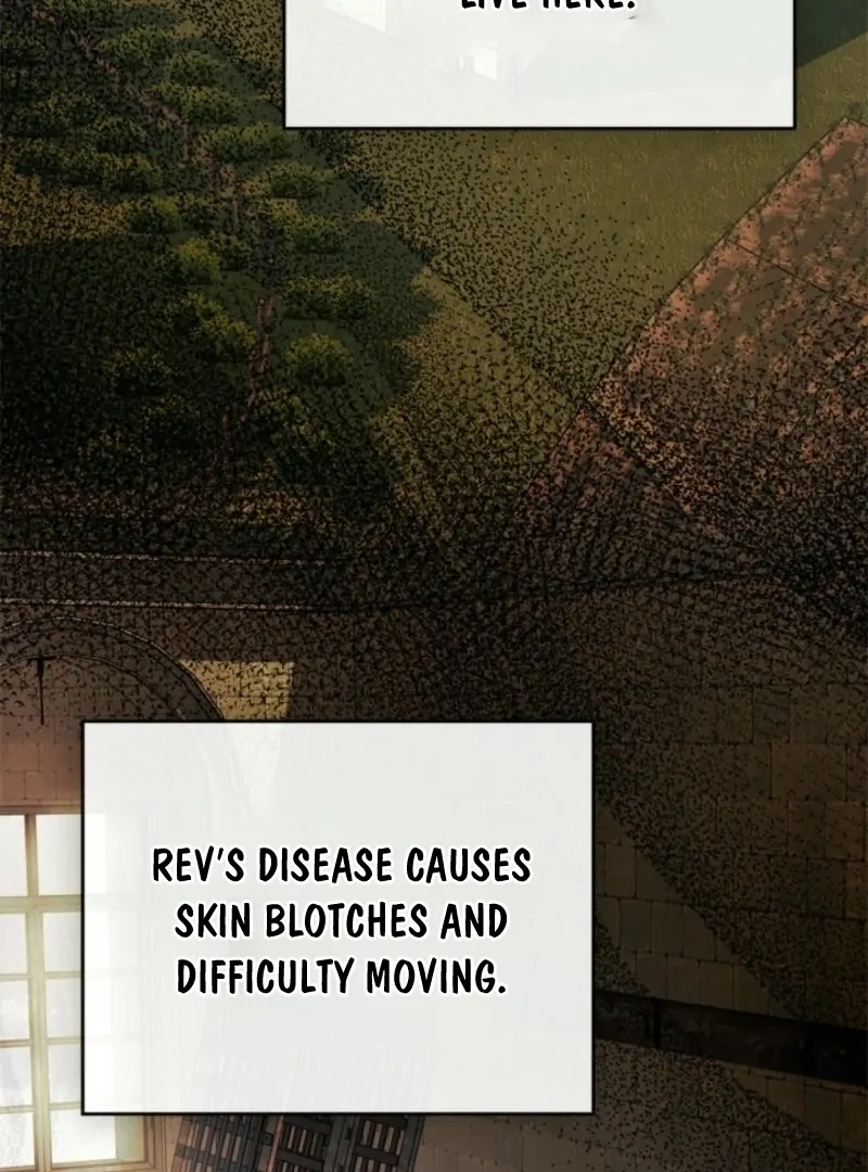 I Became A Squirrel Saving The Villain Chapter 40 - Page 41