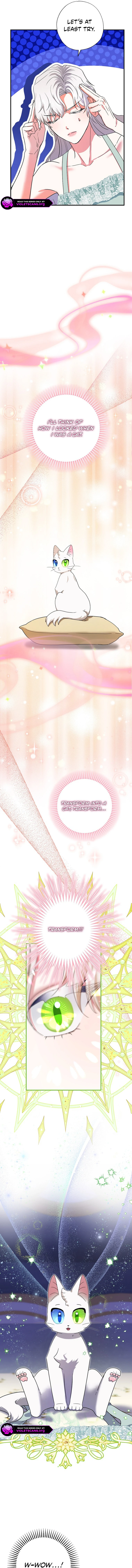 I Became the Emperor’s Cat - Chapter 72 - 9