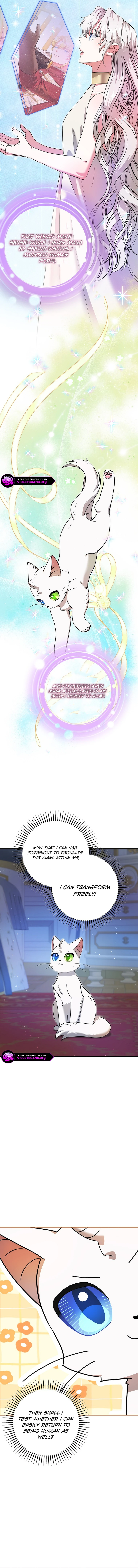 I Became the Emperor’s Cat - Chapter 72 - 11