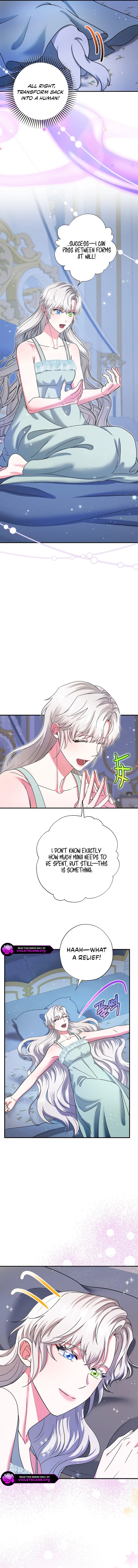 I Became the Emperor’s Cat - Chapter 72 - 12