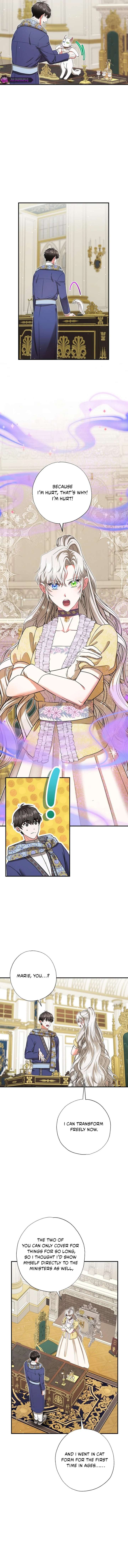 I Became the Emperor’s Cat - الفصل 74 - 6