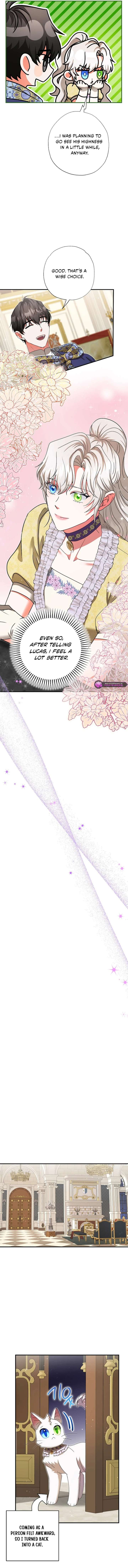 I Became the Emperor’s Cat - الفصل 74 - 8