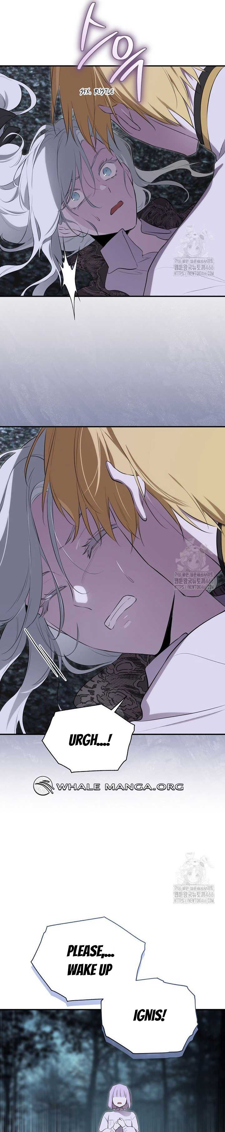 I Became the Hero’s Mom Chapter 133 - Page 19